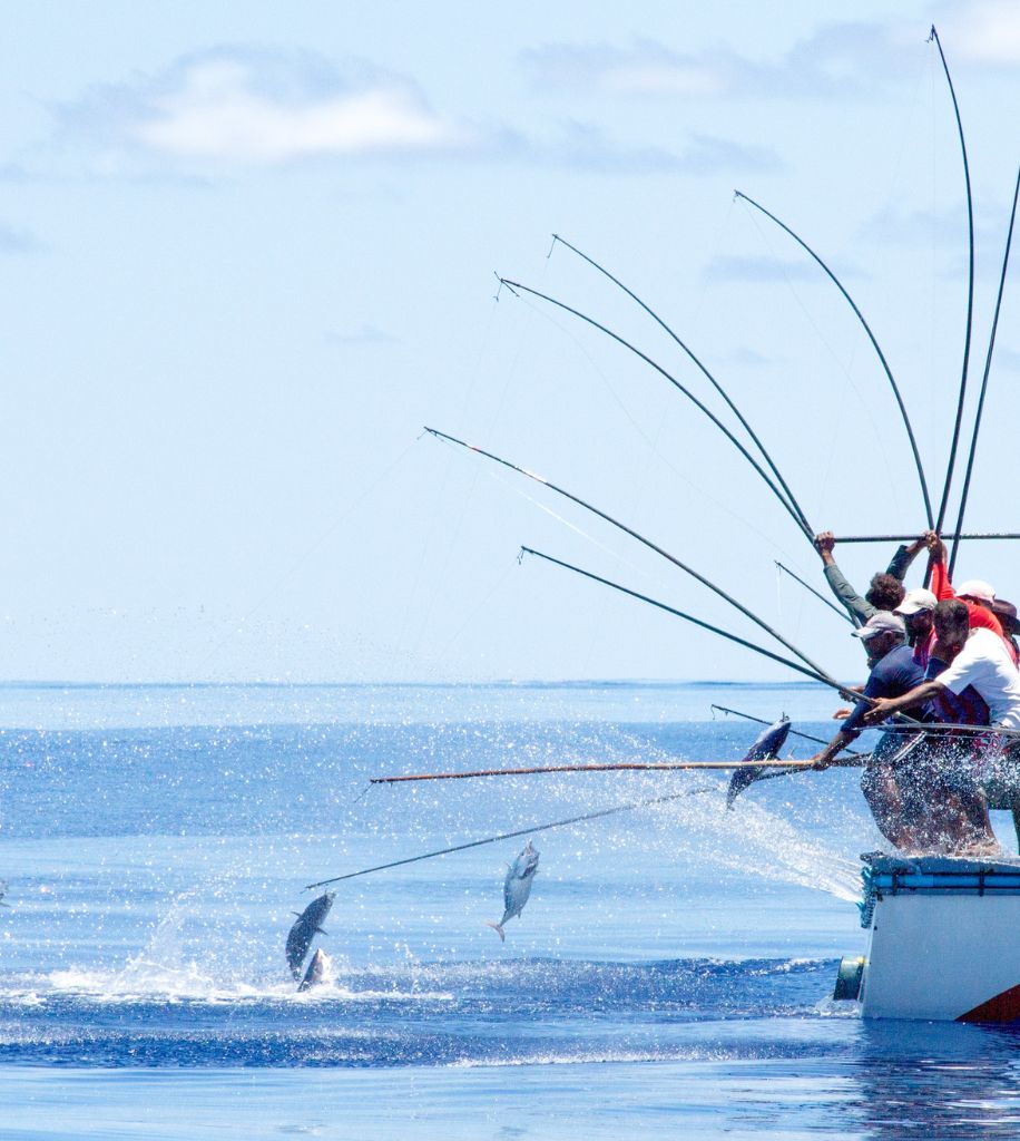 Traditional Fishing